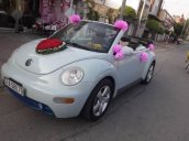 Bán Volkswagen Beetle AT sản xuất 2005, xe cũ