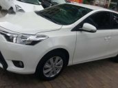 Cần bán lại xe Toyota Vios E đời 2017, màu trắng số sàn, 535tr