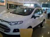 Bán ô tô Ford EcoSport đời 2017, màu trắng, nhập khẩu chính hãng