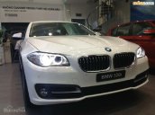 BMW 5 Series 520i 2016, màu trắng, xe nhập, mới 100%. LH 0901124188 cam kết giá tốt nhất, giao xe nhanh nhất