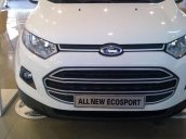 Bán ô tô Ford EcoSport đời 2017, màu trắng, nhập khẩu chính hãng