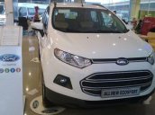 Bán ô tô Ford EcoSport đời 2017, màu trắng, nhập khẩu chính hãng