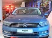 Cần bán xe Volkswagen Passat GP, màu xanh, xe nhập