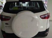 Bán xe Ford Ecosport 1.5AT Titanium 2017, tặng gói phụ kiện