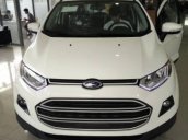 Bán xe Ford Ecosport 1.5AT Titanium 2017, tặng gói phụ kiện