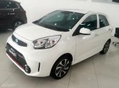 Kia Long Biên - Kia Morning 2017 giá tốt nhất Hà Nội, hỗ trợ trả góp lên đến 90% giá trị xe, hotline: 091.858.6636