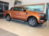 Bán ô tô Ford Ranger Wildtrak 3.2L 4x2 AT đời 2017, nhập khẩu chính hãng