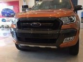 Bán ô tô Ford Ranger Wildtrak 3.2L 4x2 AT đời 2017, nhập khẩu chính hãng