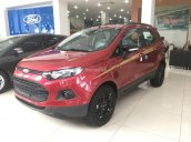 Xe Ford Ecosport 2017 khuyến mãi khủng, giảm lớn tiền mặt và quà tặng lên đến 100 triệu đồng. Gọi ngay Mr Trí 0903935356