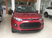 Xe Ford Ecosport 2017 khuyến mãi khủng, giảm lớn tiền mặt và quà tặng lên đến 100 triệu đồng. Gọi ngay Mr Trí 0903935356