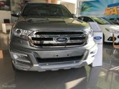 Bán xe Ford Everest 2.2 Titanium 2017, màu xám (ghi), nhập khẩu nguyên chiếc - Mr. Hải - 0966877768