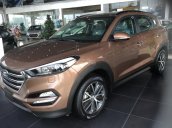 Cần bán Hyundai Tucson Limited 2.0 AT AWD đời 2017, màu nâu, nhập khẩu giá cạnh tranh