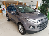 Bán ô tô Ford EcoSport Titanium 1.5 AT sản xuất 2017, giá chỉ 545 triệu