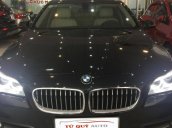 Bán xe BMW 5 Series 2.0 AT đời 2016