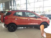 Bán xe Ford EcoSport Titanium 1.5P AT đời 2017, giá tốt, hỗ trợ vay trả góp - 096.585.7986