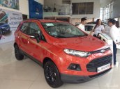 Bán xe Ford EcoSport Titanium 1.5P AT đời 2017, giá tốt, hỗ trợ vay trả góp - 096.585.7986