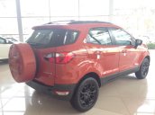 Bán xe Ford EcoSport Titanium 1.5P AT đời 2017, giá tốt, hỗ trợ vay trả góp - 096.585.7986