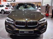 Bán ô tô BMW X6 xDrive35i phiên bản 2017, nhập khẩu, màu Sparkling Storm, giá ưu đãi, giao xe sớm