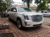 Bán ô tô Cadillac Escalade ESV Platinum 6.2L đời 2017, màu trắng, nhập Mỹ, giao ngay 0902.00.88.44