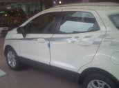 Ford EcoSport giá tốt, đủ màu giao ngay - hotline 0966.522.322