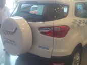 Ford EcoSport giá tốt, đủ màu giao ngay - hotline 0966.522.322