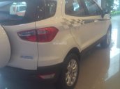 Ford EcoSport giá tốt, đủ màu giao ngay - hotline 0966.522.322