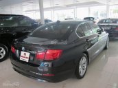 Bán ô tô BMW 5 Series 523i đời 2010, màu đen, nhập khẩu