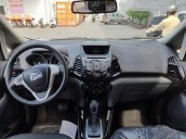 Bán ô tô Ford EcoSport Titanium 1.5P AT 2017, 565 triệu