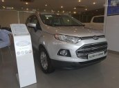 Bán ô tô Ford EcoSport Titanium 1.5P AT 2017, 565 triệu