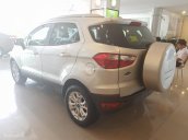 Bán ô tô Ford EcoSport Titanium 1.5P AT 2017, 565 triệu