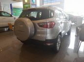 Bán ô tô Ford EcoSport Titanium 1.5P AT 2017, 565 triệu