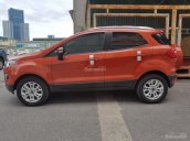 Cần bán xe Ford EcoSport Titanium 1.5P AT đời 2017