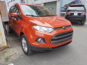 Cần bán xe Ford EcoSport Titanium 1.5P AT đời 2017