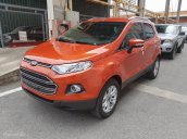 Cần bán xe Ford EcoSport Titanium 1.5P AT đời 2017