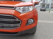 Cần bán xe Ford EcoSport Titanium 1.5P AT đời 2017