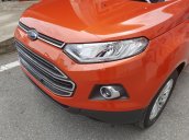 Cần bán xe Ford EcoSport Titanium 1.5P AT đời 2017