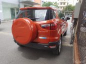 Cần bán xe Ford EcoSport Titanium 1.5P AT đời 2017