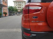 Cần bán xe Ford EcoSport Titanium 1.5P AT đời 2017