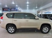 Cần bán xe Toyota Prado TXL đời 2010, màu ghi vàng, nhập khẩu nguyên chiếc