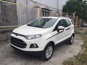 Ford Hà Nội KM lớn tháng 1- Giao ngay Ford Ecosport 2017- Đủ màu- LH: MR Đức 0945103989 nhận giá tốt nhất