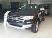 Cần bán xe Ford Everest 2.2L 4x2 Titanium AT đời 2017, nhập khẩu