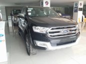 Cần bán xe Ford Everest 2.2L 4x2 Titanium AT đời 2017, nhập khẩu