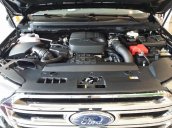 Cần bán xe Ford Everest 2.2L 4x2 Titanium AT đời 2017, nhập khẩu