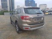 Bán Ford Everest 2.2L 4x2 Titanium AT 2017, màu xám (ghi), nhập khẩu nguyên chiếc