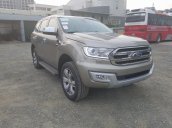 Bán Ford Everest 2.2L 4x2 Titanium AT 2017, màu xám (ghi), nhập khẩu nguyên chiếc