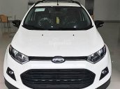 Bán Ford EcoSport Black Edition năm 2017, màu trắng