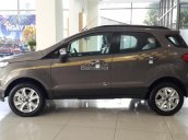 Ford Ecosport 2017 - Giá tốt nhất Việt Nam, liên hệ Ms. Liên 0963 241 349 để nhận ưu đãi tốt nhất từ Ford