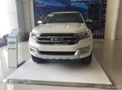 Bán xe Ford Everest 2.2L 4x2 Titanium AT đời 2017, màu trắng, nhập khẩu - LH: Mr. Hải - 0966877768