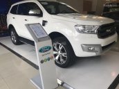 Bán xe Ford Everest 2.2L 4x2 Titanium AT đời 2017, màu trắng, nhập khẩu - LH: Mr. Hải - 0966877768