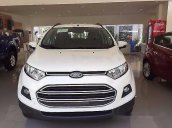 Bán xe Ford EcoSport trend MT đời 2017, màu trắng